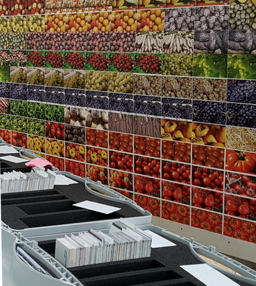 Jeux d'étiquettes informatives avec photo quadri pour fruits et légumes pour la grande distribution